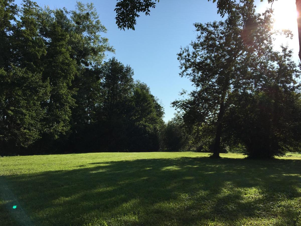 ホテル Domaine Des Epinettes Saint-Romain-de-Jalionas エクステリア 写真