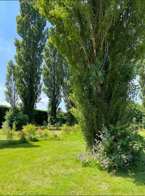 ホテル Domaine Des Epinettes Saint-Romain-de-Jalionas エクステリア 写真